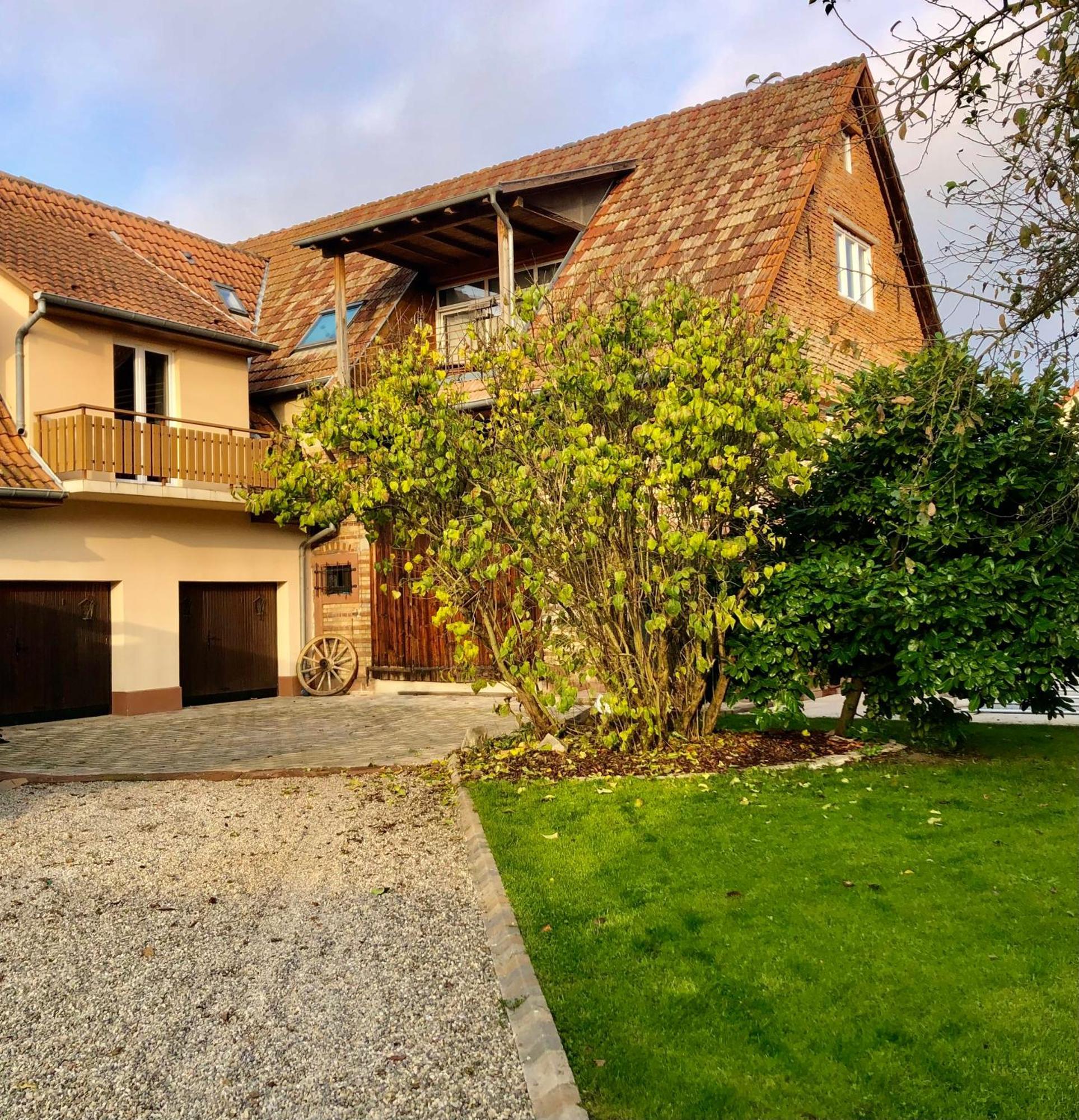 Apartment Cosy 2-4 Personnes Leutenheim